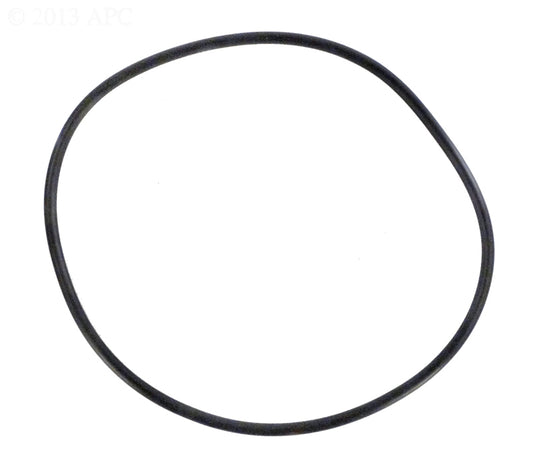 PENTAIR TANK O-RING QUANTUM SS
