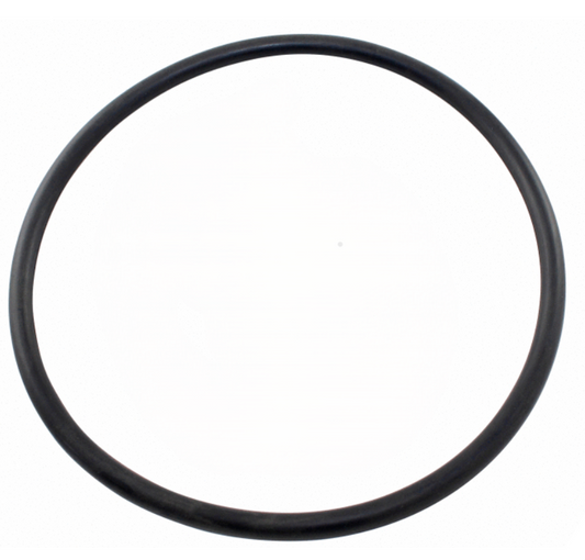 Pentair O-Ring 2-434 Lid  | 352600