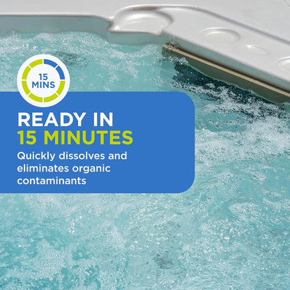 Frog Maintain for Swim Spa | 1 LB | 01-14-6134