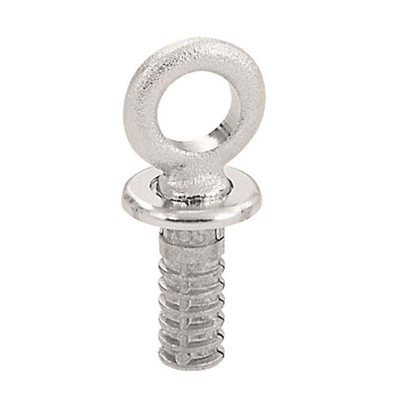 EYEBOLT W/EXPANSION SHEILD