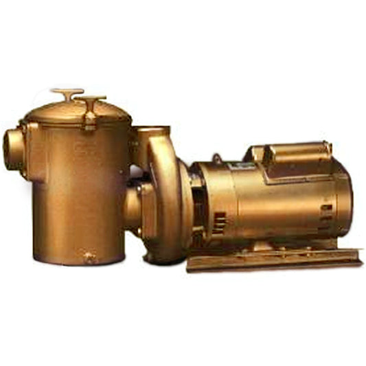 AQUA FLO AC SERIES 5 HP PUMP