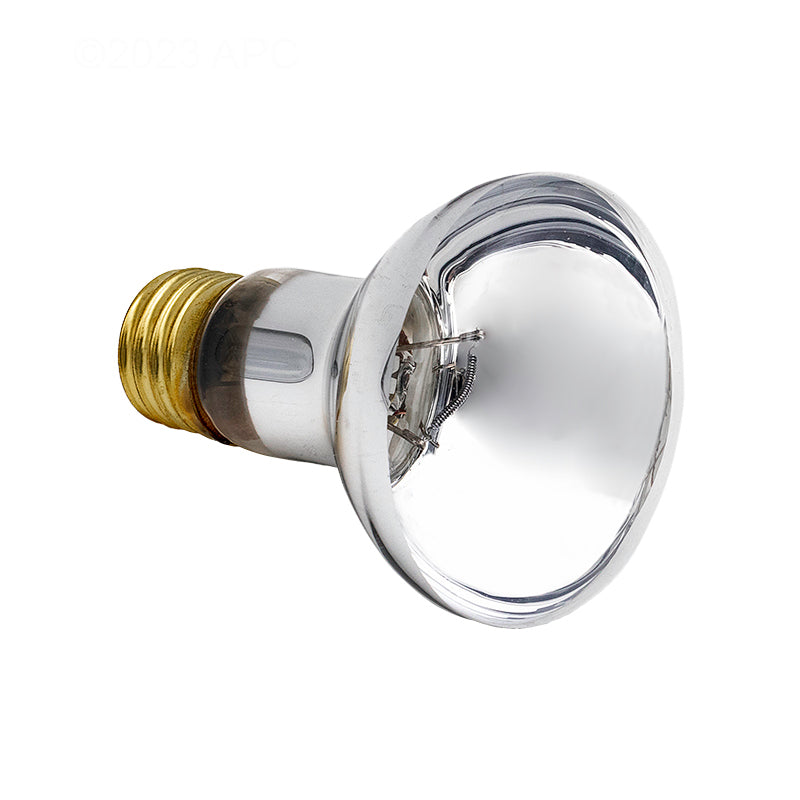 BULB 100WATT 12V