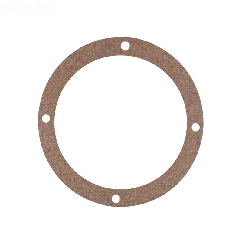 C20021 STARITE GASKET