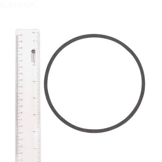C20079 STARITE PUMP GASKET
