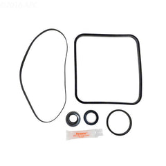 SUPER PUMP REPAIR KIT