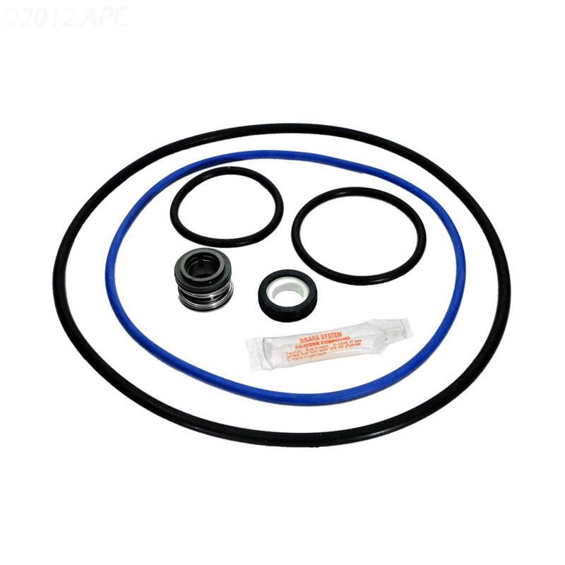 HAYWARD NORTHSTAR PRE 2003