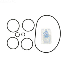 PACFAB 2000 O-RING KIT APCOKIT462