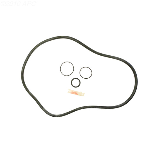 PENTAIR FNS PLUS FILTER KIT
