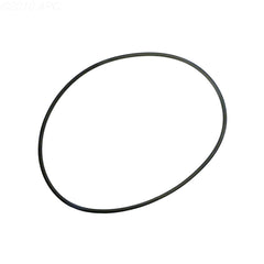 2470072 20" TANK O-RING SWIMQUIP