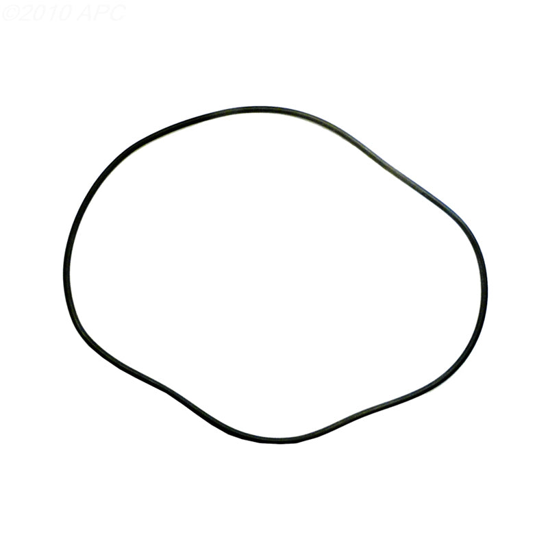 2470073 24" TANK O-RING SWIMQUIP