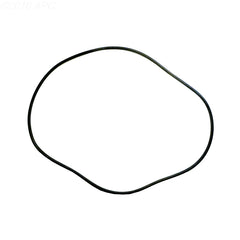 2470073 24" TANK O-RING SWIMQUIP