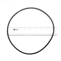 070211 PUREX LID O-RING
