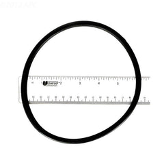 U9-229 STARITE PUMP O-RING