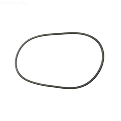 P24218 PUREX LID O-RING