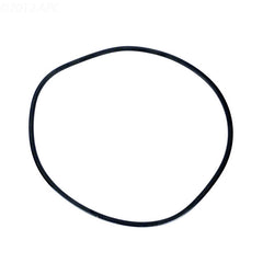 O-RING TANK 248500008