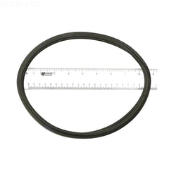 014118 ANTHONY LENS GASKET