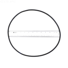 O-RING FILTER HEAD
