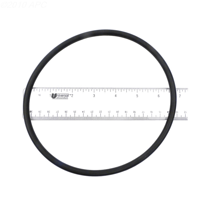 SPX3000S PUMP LID O-RING