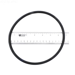 SPX3000S PUMP LID O-RING