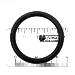 SWIMQUIP 355051313 SWIMRITE 30828759