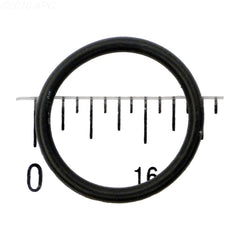 PVD24 O-RING