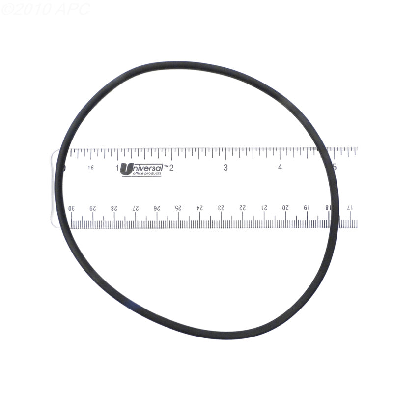 C10146 DIACLEAR O-RING