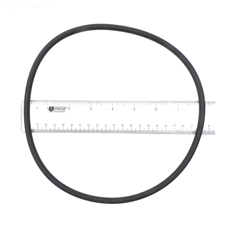 ANTHONY LENS GASKET