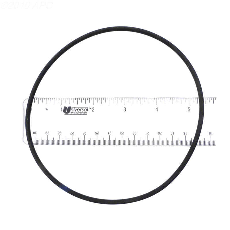 WATERWAY CHLORINATOR O-RING