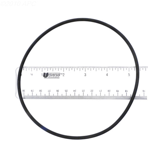 WATERWAY CHLORINATOR O-RING