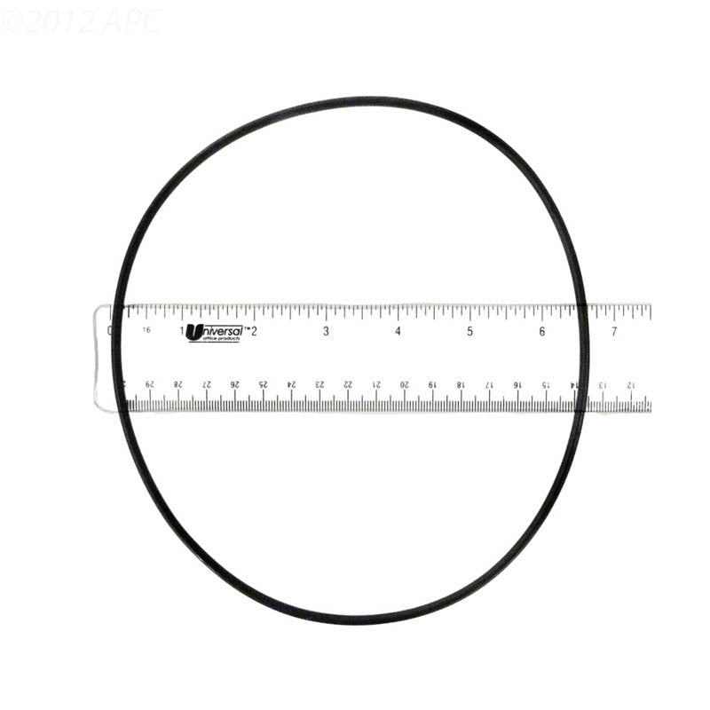 271151 PENTAIR O-RING