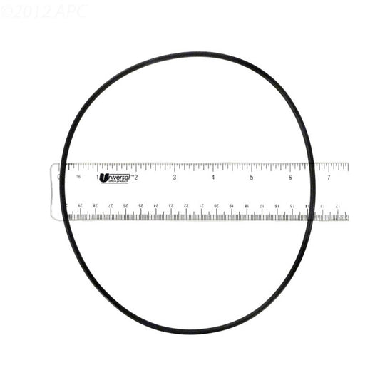 271151 PENTAIR O-RING