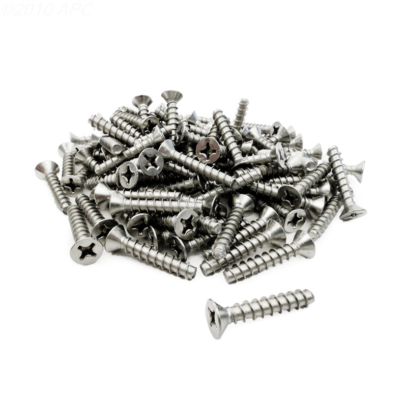 LONG SKIMMER SCREW, BAG OF 100