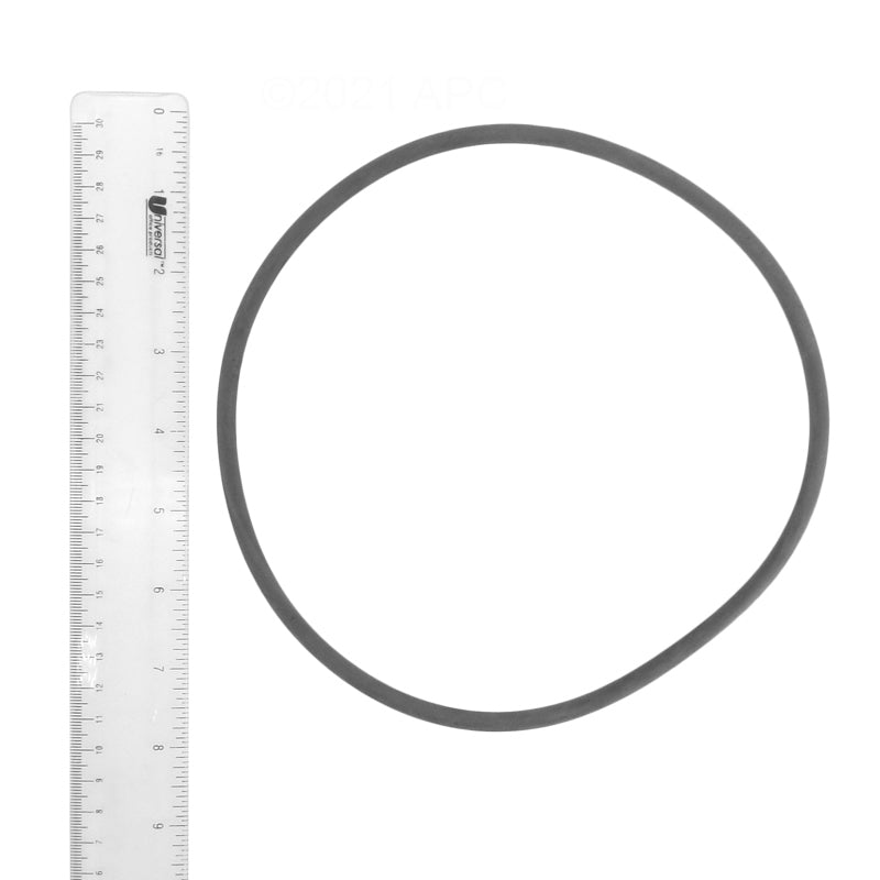 CANTABRIC FILTER LID O-RING