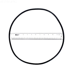ASTRAL MICRON MEDIA FILTER O-RING