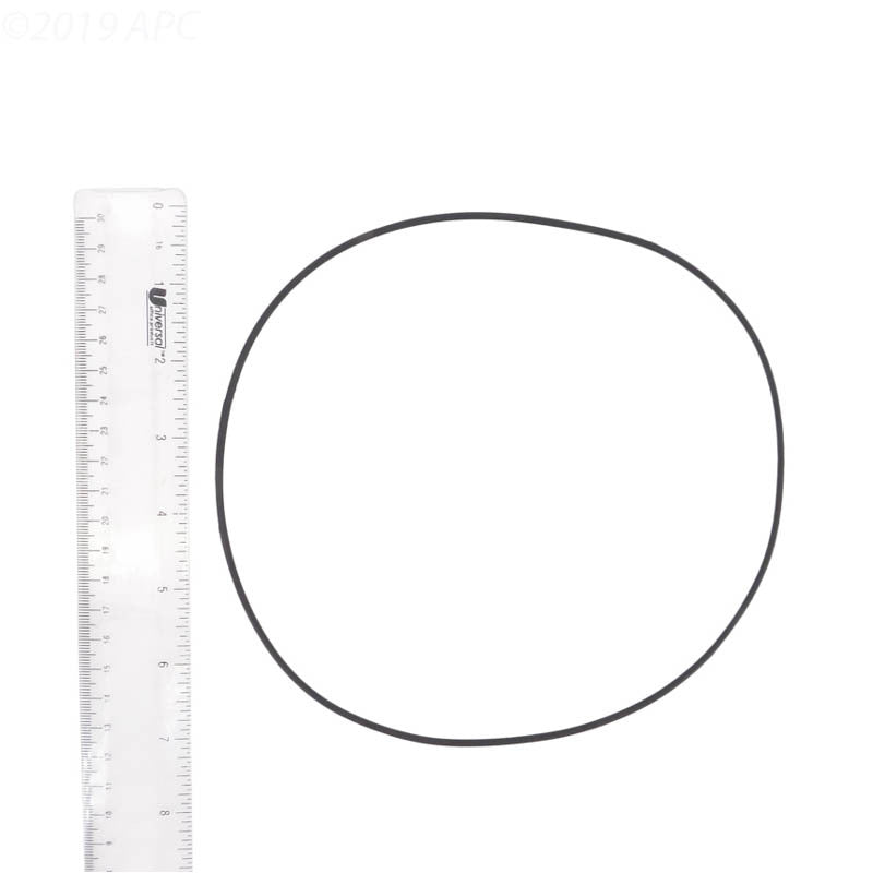 MOTOR CLAMP O-RING, SPRINT