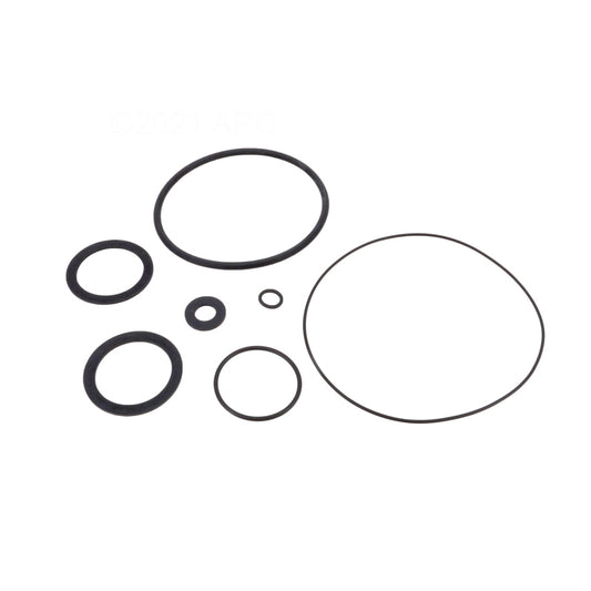 STRAINER LID O-RING / SPRINT