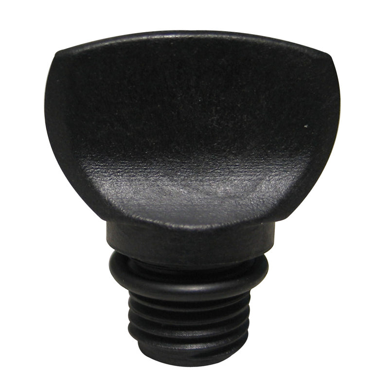1/4" PUMP PLUG w/O-RING