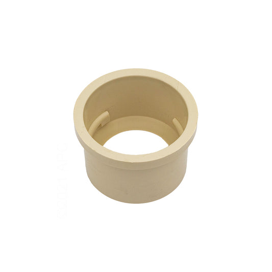 COLLAR CREAM COLOR FOR THE