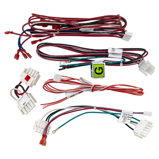Hayward H-Series FD Heater Wiring Harness Assembly | FDXLWHA1931