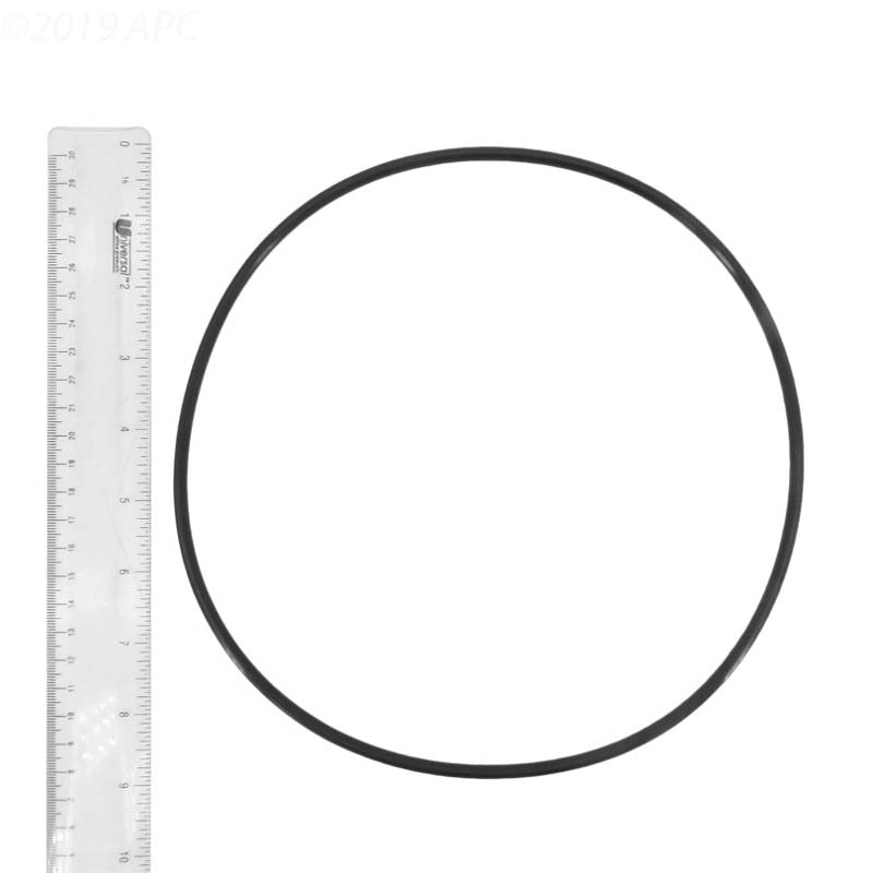 PUMP LID O-RING (QTY. OF 10)