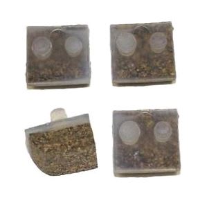 Hayward Cork Shoe Kit, 4/Pack | AXV014FNP