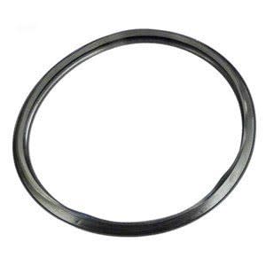 Hayward Star-Clear Filter Gasket | CX250F