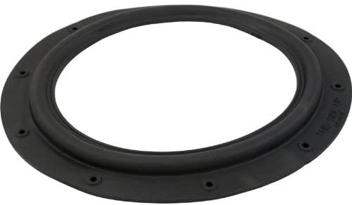 Hayward EC30 Diaphragm Gasket | ECX1039