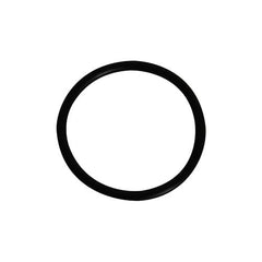 The Hayward SP1022C Plug O-Ring (SPX1022CZ2) by HAYWARD features a black circular design with a thick outline, shown on a white background.