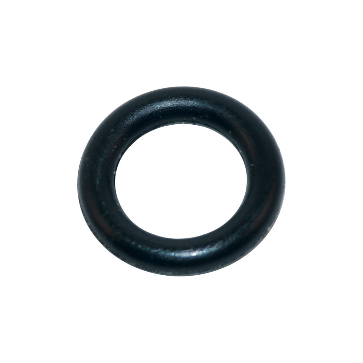 Hayward Star Clear Valve O-Ring, 10/Pack | SPX1082Z410