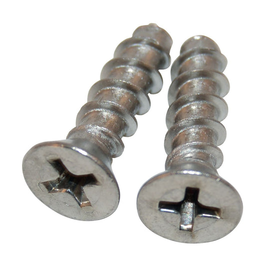 Hayward Grate Screw Set, 2/Pack | SPX1425Z32