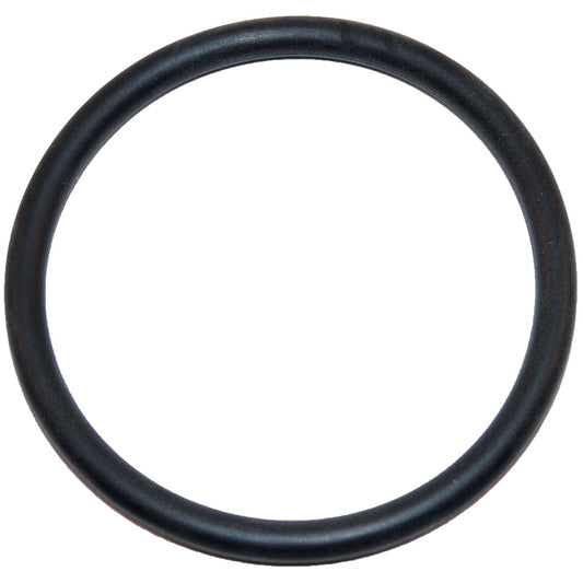 Hayward Large O-Ring | SX220Z2