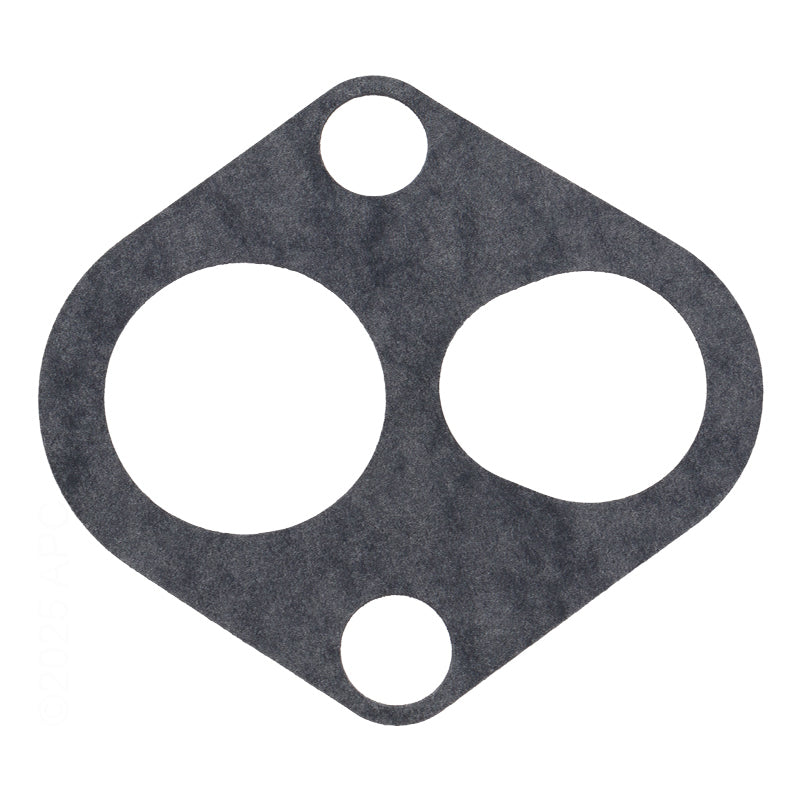 Pentair Gasket (Part #J20-12)