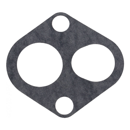 Pentair Gasket (Part #J20-12)