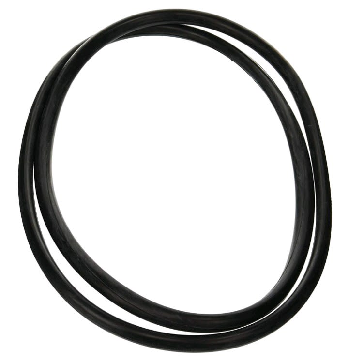 Jandy Pro Series Tank O-Ring | R0357800